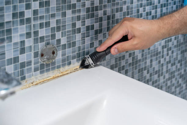 Best Mold Testing and Inspection Services in Fairbanks, AK